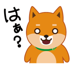Shiba dog "MUSASHI" 4 sticker #7706317