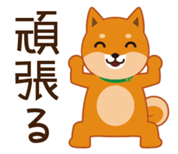 Shiba dog "MUSASHI" 4 sticker #7706320