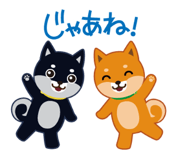 Shiba dog "MUSASHI" 4 sticker #7706323