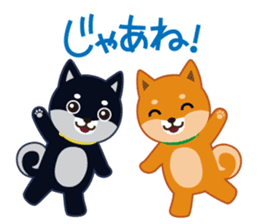 Shiba dog "MUSASHI" 4 sticker #7706323