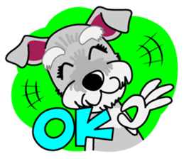 Miniature Schnauzer named Chacha. sticker #7707124
