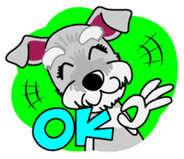 Miniature Schnauzer named Chacha. sticker #7707124