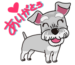 Miniature Schnauzer named Chacha. sticker #7707130