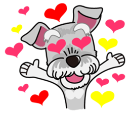 Miniature Schnauzer named Chacha. sticker #7707131