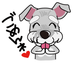 Miniature Schnauzer named Chacha. sticker #7707138