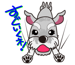 Miniature Schnauzer named Chacha. sticker #7707145