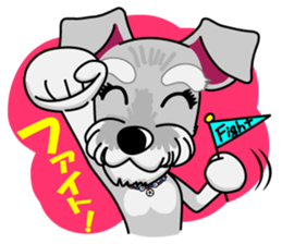 Miniature Schnauzer named Chacha. sticker #7707158