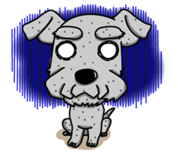 Miniature Schnauzer named Chacha. sticker #7707159