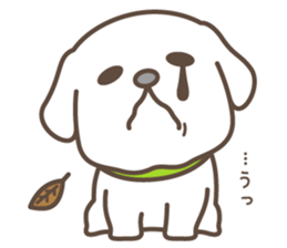 Three dogs. sticker #7708305