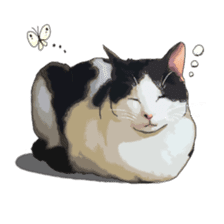 LIFE with lovely cats sticker #7710349