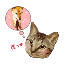 LIFE with lovely cats sticker #7710353