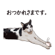 LIFE with lovely cats sticker #7710356