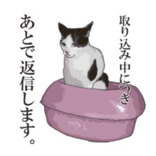 LIFE with lovely cats sticker #7710358