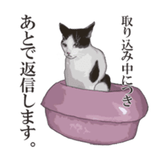LIFE with lovely cats sticker #7710358