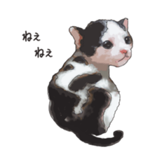 LIFE with lovely cats sticker #7710361