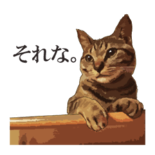 LIFE with lovely cats sticker #7710362