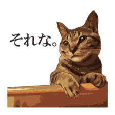 LIFE with lovely cats sticker #7710362