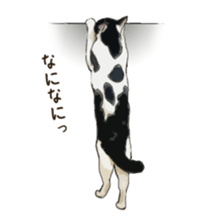 LIFE with lovely cats sticker #7710363