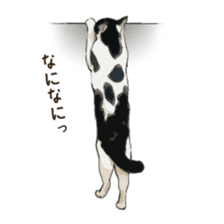LIFE with lovely cats sticker #7710363