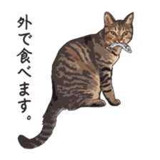 LIFE with lovely cats sticker #7710364