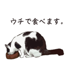 LIFE with lovely cats sticker #7710365