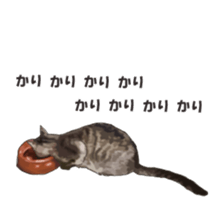 LIFE with lovely cats sticker #7710366