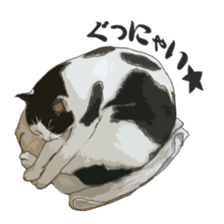 LIFE with lovely cats sticker #7710368