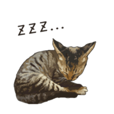 LIFE with lovely cats sticker #7710369
