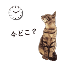 LIFE with lovely cats sticker #7710370