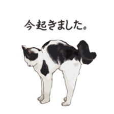 LIFE with lovely cats sticker #7710371