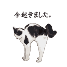 LIFE with lovely cats sticker #7710371
