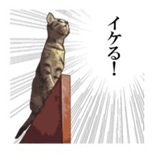 LIFE with lovely cats sticker #7710375