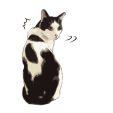 LIFE with lovely cats sticker #7710378