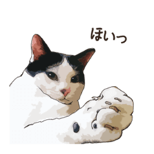 LIFE with lovely cats sticker #7710379