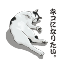 LIFE with lovely cats sticker #7710380