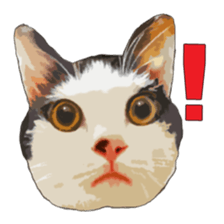 LIFE with lovely cats sticker #7710382