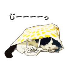 LIFE with lovely cats sticker #7710385