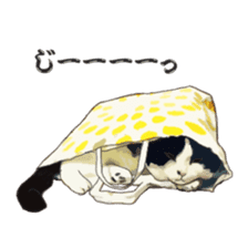 LIFE with lovely cats sticker #7710385