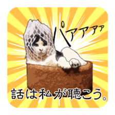 LIFE with lovely cats sticker #7710387