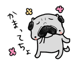 pug nagoya sticker #7714439