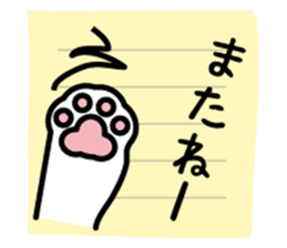 memo of white cat sticker #7714665