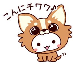 TAMACHAN THE SHIROKUMANEKO (PUNS) sticker #7714789