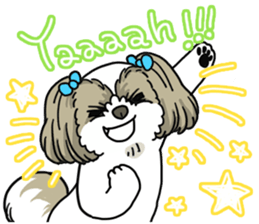 I love Shih_Tzu !!! sticker #7714911