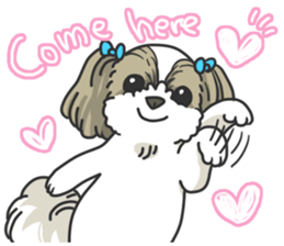 I love Shih_Tzu !!! sticker #7714916
