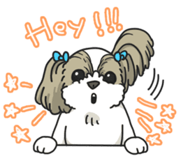 I love Shih_Tzu !!! sticker #7714920