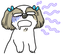 I love Shih_Tzu !!! sticker #7714933
