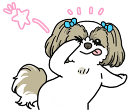 I love Shih_Tzu !!! sticker #7714940