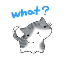 Cute kitten colon 3 English sticker #7717616