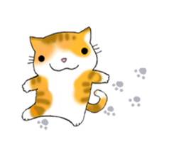 Cute kitten colon 3 English sticker #7717619