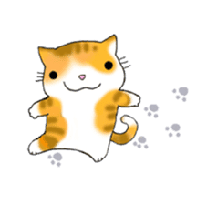 Cute kitten colon 3 English sticker #7717619